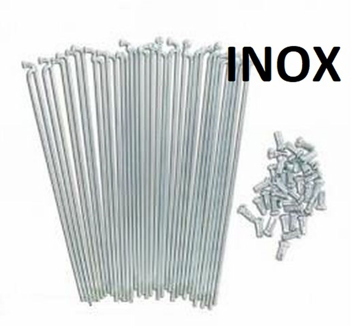 Jeu de rayons INOX avec embout ø 2.6 mm longueur 212 mm