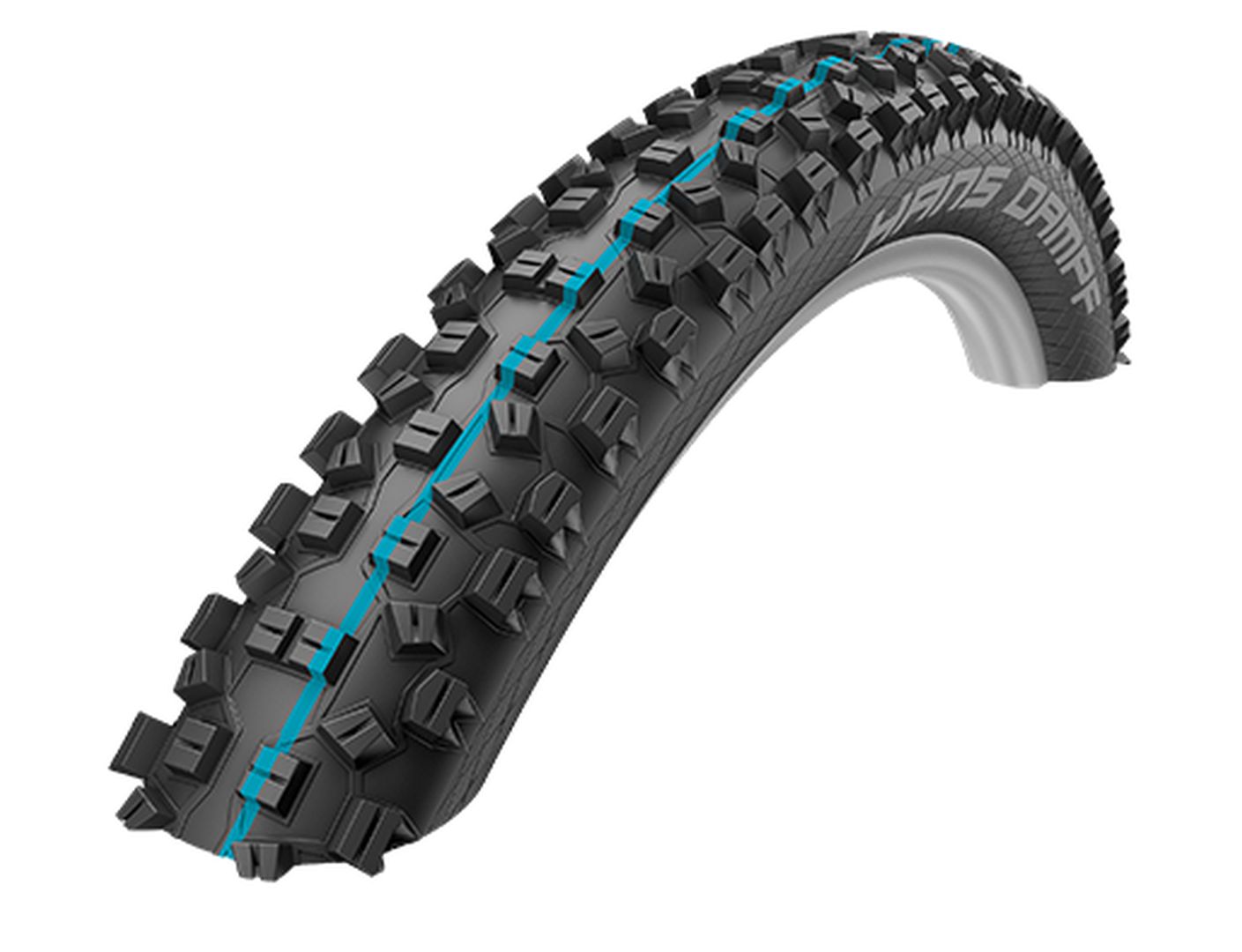 Schwalbe Pneu Velo 26 x 2.35 HANS DAMPF Snake Skin Addix Speedgrip TL-Easy noir